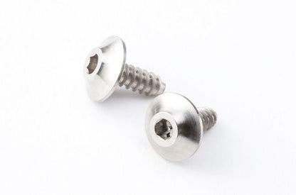 REVE D 8810 STYLE SPM Titanium M2 5mm Tapping Screw ( 2pcs.)(HS-TS01)