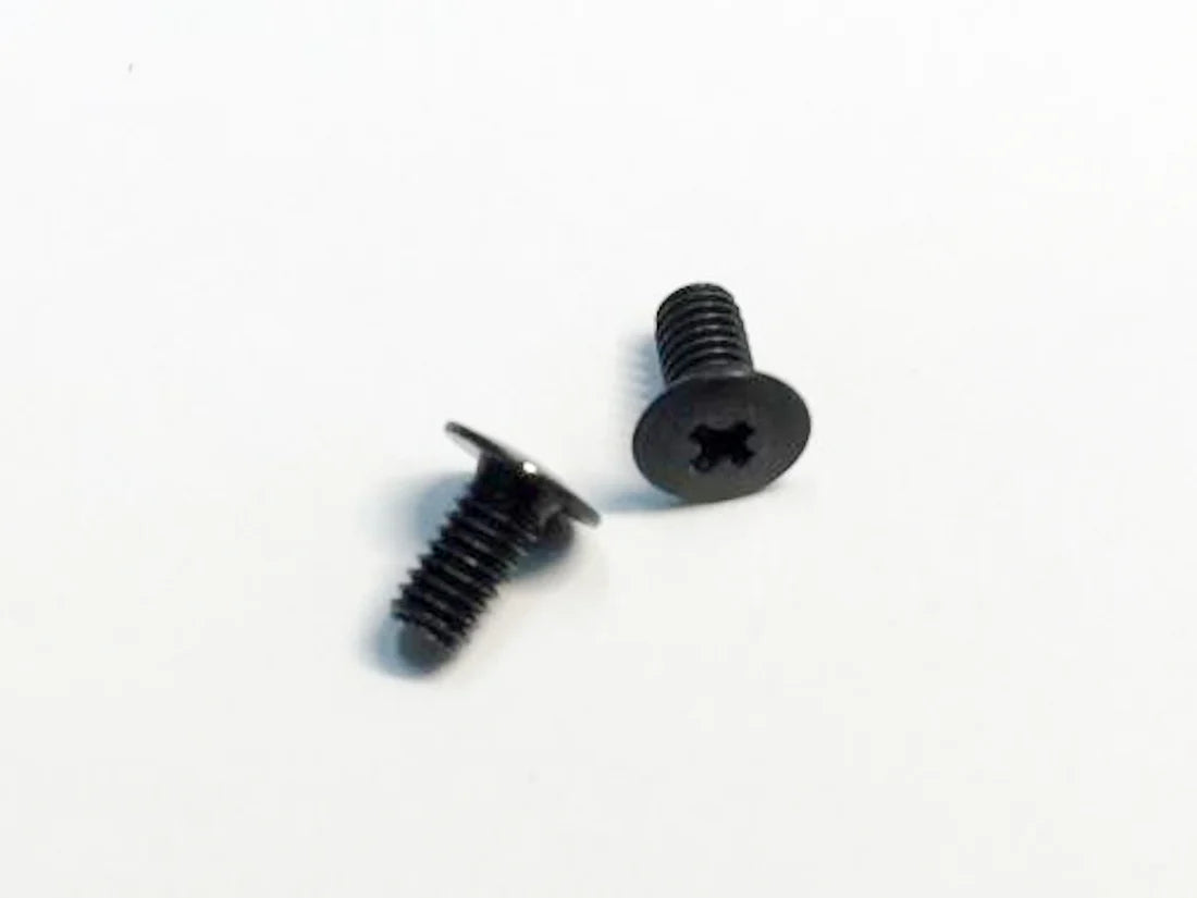Shibata DR GRK Flat head screw M2.6×5mm (2) ( R31W251 )